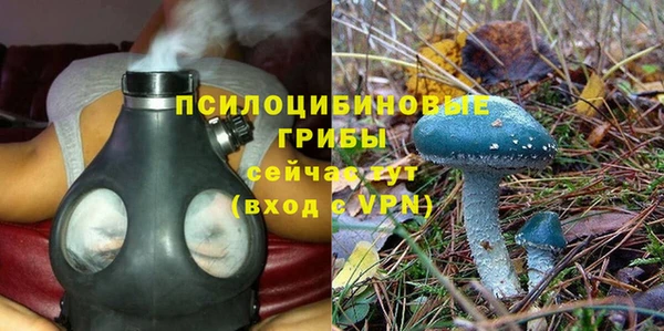 ешки Рославль