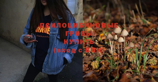 прущие грибы Киреевск