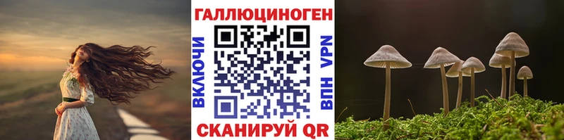 Галлюциногенные грибы GOLDEN TEACHER  закладки  Волжск 