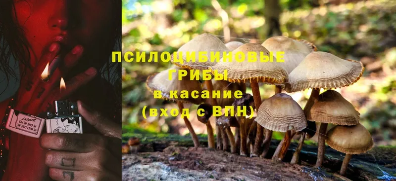 Псилоцибиновые грибы Magic Shrooms  это наркотические препараты  Волжск 