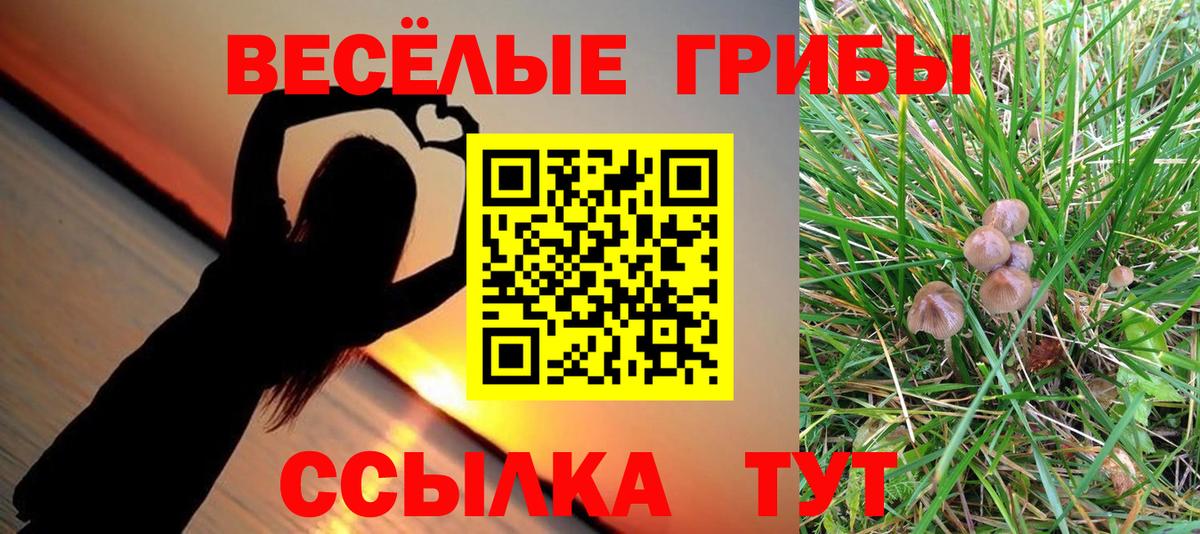 Волжск  Галлюциногенные грибы ЛСД  Вход с VPN 