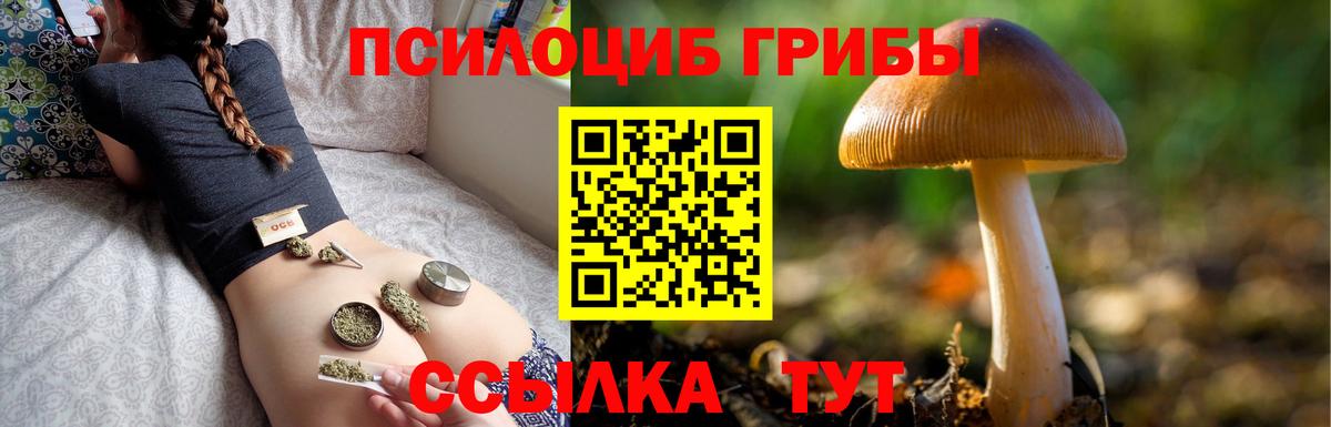 Галлюциногенные грибы мицелий Волжск